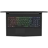 XMG NEO 15 (M18thr) Intel Core i7-8750H, GeForce GTX 1060, 8 GB RAM, 256 GB SSD, Gaming Notebook - 9